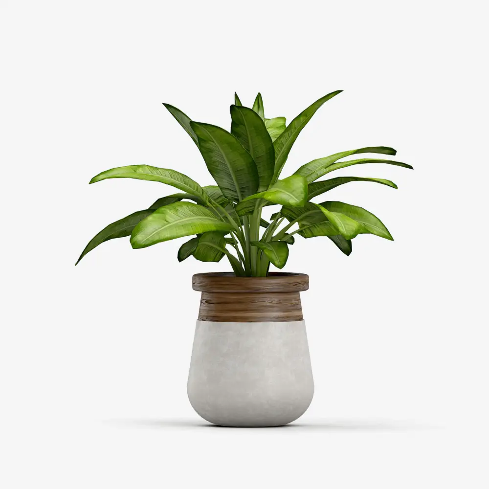 Lakhes Artificial Monstera Plant
