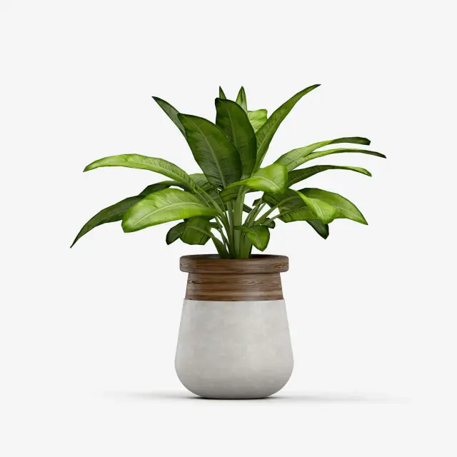 Lakhes Artificial Monstera Plant